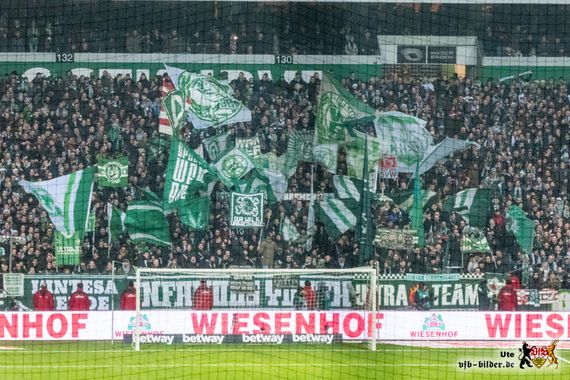 Werder Bremen vs VfB Stuttgart (1-0) (3)