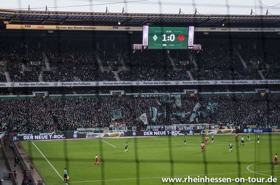 Werder Bremen vs 1. FSV Mainz 05 (2-2) (1)