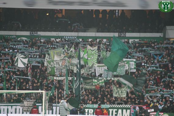 Werder Bremen vs TSG Hoffenheim (1-1) (4)