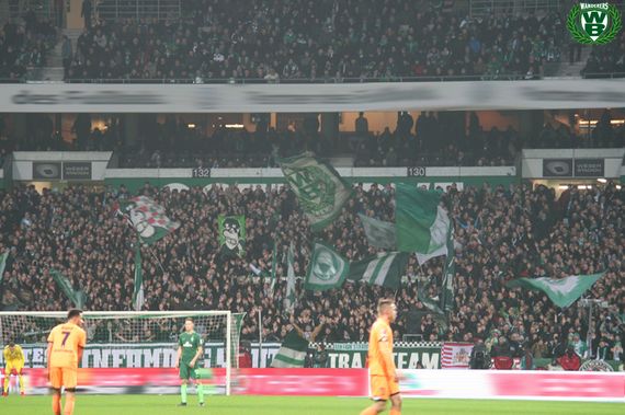 Werder Bremen vs TSG Hoffenheim (1-1) (7)