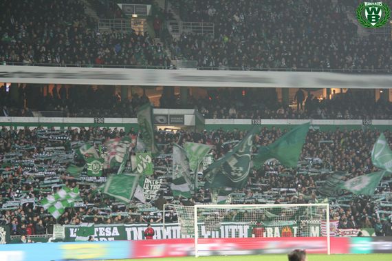 Werder Bremen vs TSG Hoffenheim (1-1) (9)