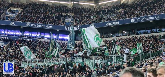 FC Schalke 04 vs Werder Bremen (1-2) (9)