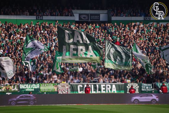 Werder Bremen vs 1. FSV Mainz 05 (3-1) (6)