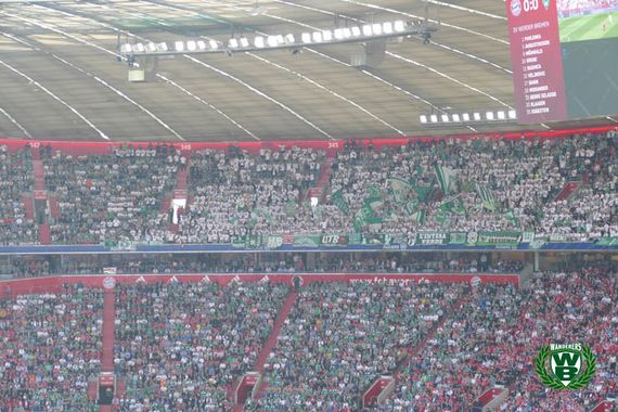 FC Bayern München vs Werder Bremen (1-0) (6)