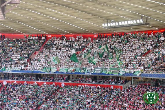 FC Bayern München vs Werder Bremen (1-0) (7)