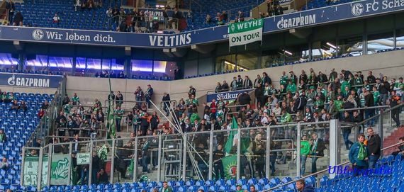 FC Schalke 04 vs Werder Bremen (0-2) (1)