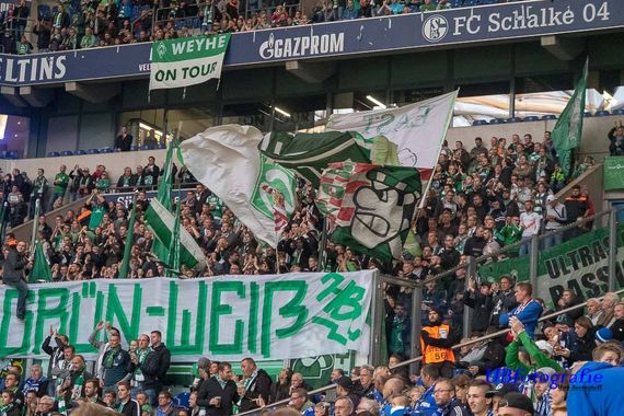 FC Schalke 04 vs Werder Bremen (0-2) (8)