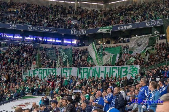 FC Schalke 04 vs Werder Bremen (0-2) (13)