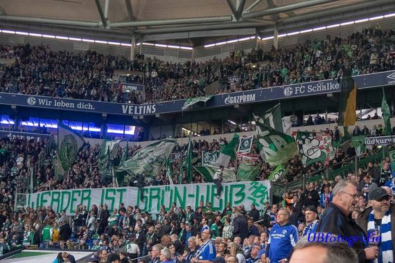 FC Schalke 04 vs Werder Bremen (0-2) (15)
