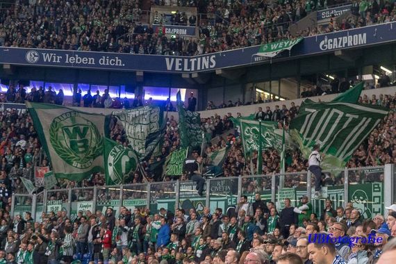 FC Schalke 04 vs Werder Bremen (0-2) (16)