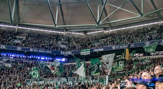 FC Schalke 04 vs Werder Bremen (0-2) (17)