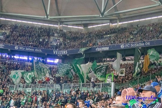 FC Schalke 04 vs Werder Bremen (0-2) (18)