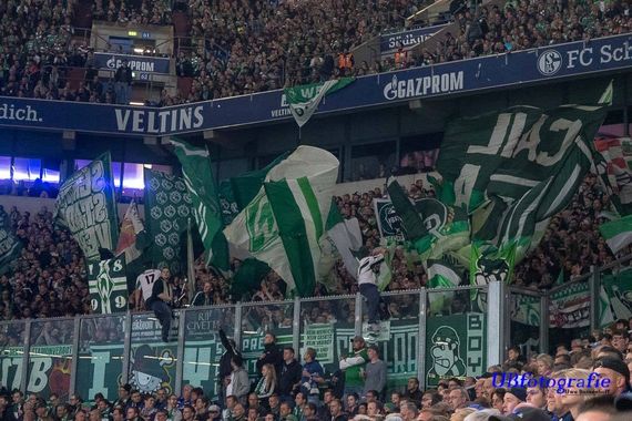 FC Schalke 04 vs Werder Bremen (0-2) (20)