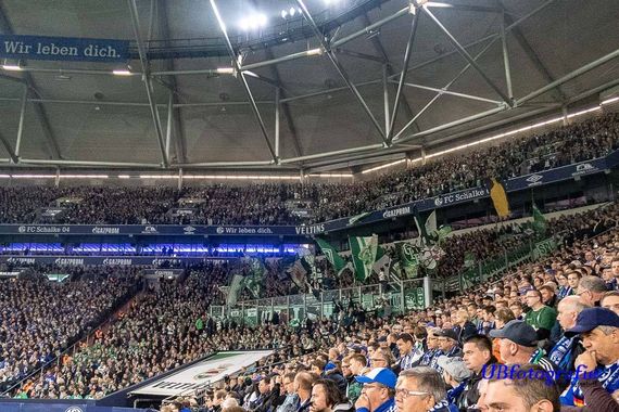 FC Schalke 04 vs Werder Bremen (0-2) (21)