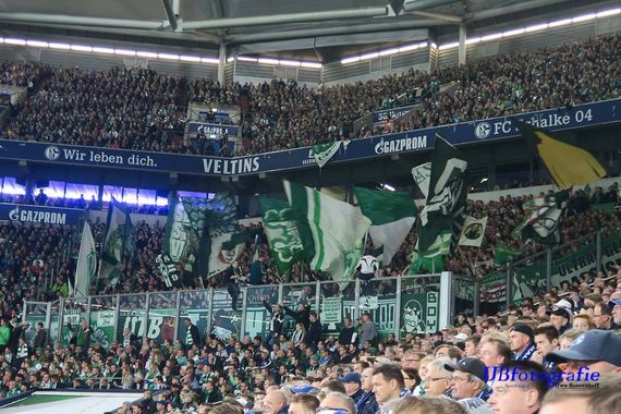 FC Schalke 04 vs Werder Bremen (0-2) (22)