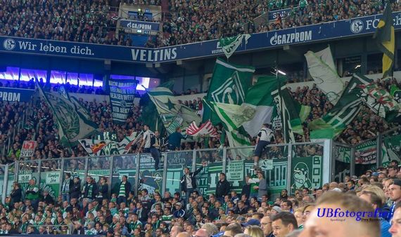 FC Schalke 04 vs Werder Bremen (0-2) (23)