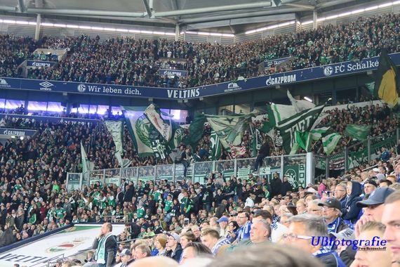 FC Schalke 04 vs Werder Bremen (0-2) (25)