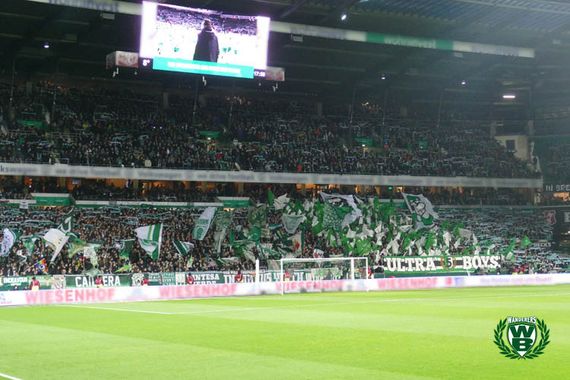 Werder Bremen vs SC Paderborn (0-1) (3)