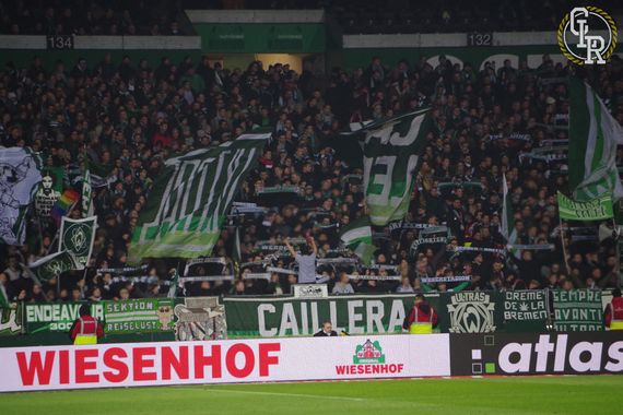 Werder Bremen vs TSG Hoffenheim (0-3) (5)