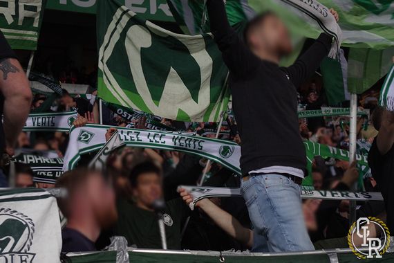 Werder Bremen vs 1. FC Heidenheim 1846 (3-0) (8)