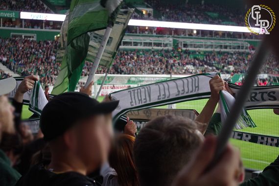 Werder Bremen vs 1. FC Heidenheim 1846 (3-0) (15)