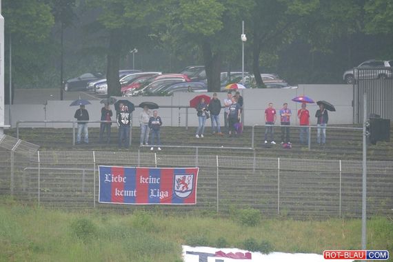 Wuppertaler SV vs 1. FC Köln II (3-1) (4)