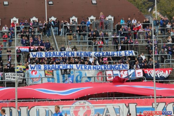 Wuppertaler SV vs Viktoria Köln (1-1) (7)