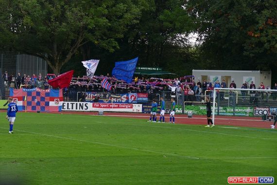 FC Schalke 04 II vs Wuppertaler SV (3-0) (8)