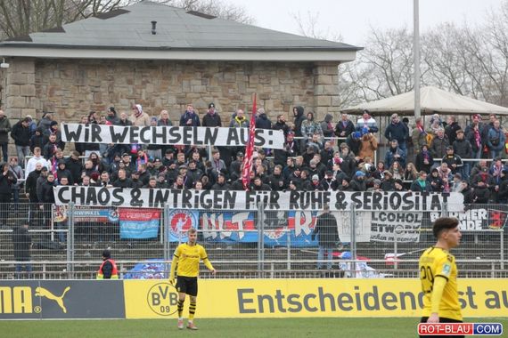 Borussia Dortmund II vs Wuppertaler SV (3-1) (3)