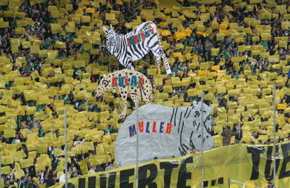 AS St. Etienne vs Olympique Lyon (1-3) (12)