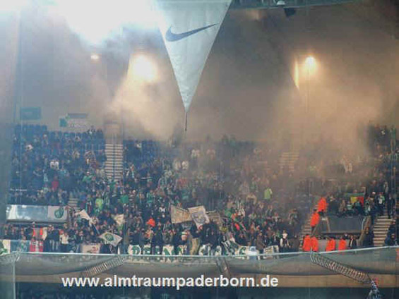 Paris SG vs AS St. Etienne (2-1) (5)