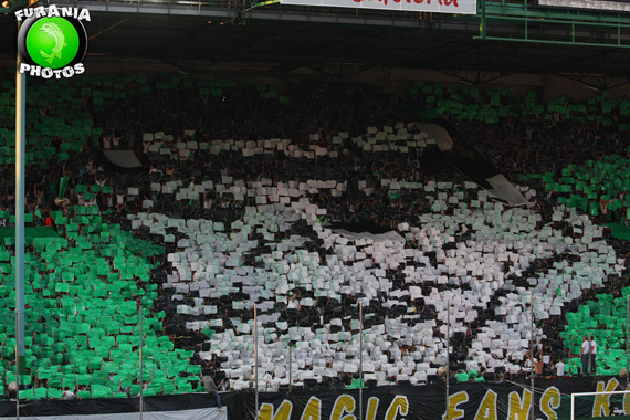 AS St. Etienne vs Paris SG (1-1) (34)