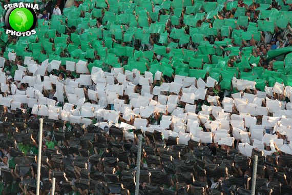 AS St. Etienne vs OSC Lille (1-3) (18)