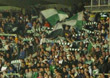 Shamrock Rovers vs PAOK Saloniki (1-3)