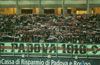 Calcio Padova 1910 vs Treviso
