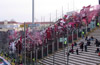 FC Parma vs FC Turin (1-0)