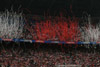 Ajax Amsterdam vs Feyenoord Rotterdam (2-0)