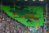 SC Heerenveen vs FC Groningen (0-1)