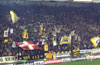 Vitesse Arnheim vs Willem II (2-1)