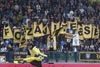 Vitesse Arnheim vs Heracles Almelo (1-0)