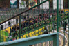 Lechia Gdansk vs Arka Gdynia (0-0)