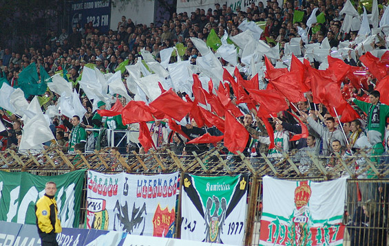 Slask Wroclaw vs Ruch Chorzow (1-0) (4)