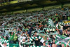 Celtic Glasgow vs Rapid Wien (1-1)