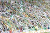 Glasgow Rangers vs Celtic Glasgow (1-0)