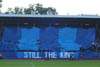 Djurgardens IF vs Helsingborgs IF (2-1)