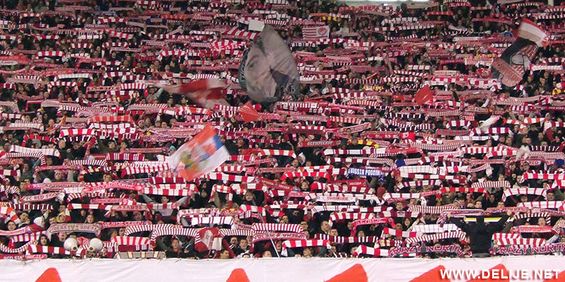Roter Stern Belgrad vs Vojvodina Novi Sad (2-2) (10)