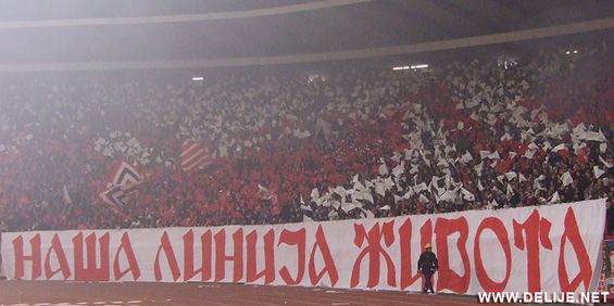 Roter Stern Belgrad vs Vojvodina Novi Sad (2-2) (12)