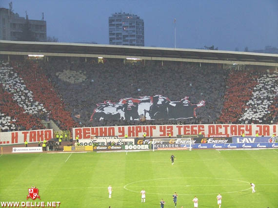 Roter Stern Belgrad vs FK Radnički 1923 Kragujevac (2-0) (5)