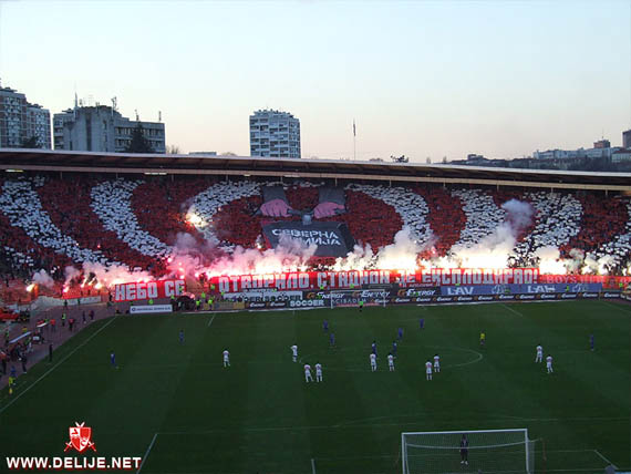 Roter Stern Belgrad vs Spartak Zlatibor Voda Subotica (4-1) (7)