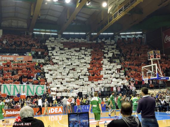 Roter Stern Belgrad vs Borac Cacak (3-1) (13)